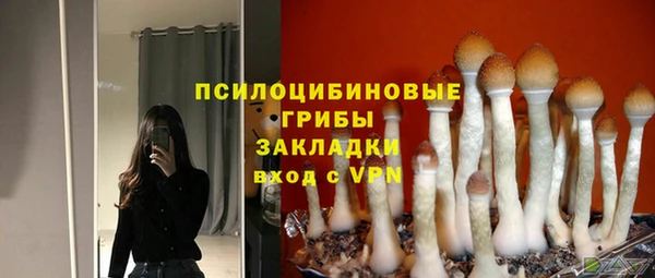 крисы Вяземский
