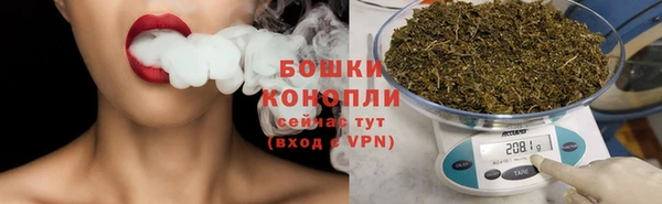 крисы Вяземский