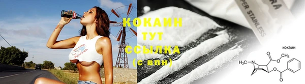 крисы Вяземский