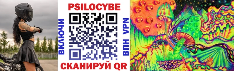 Псилоцибиновые грибы Psilocybe  Самара 